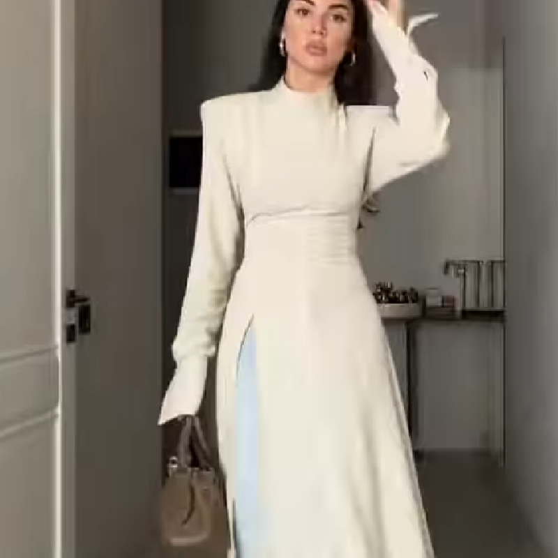 Women's Elegant High Neck Long - đánh giá và giá Women Formal Office Wear Tops